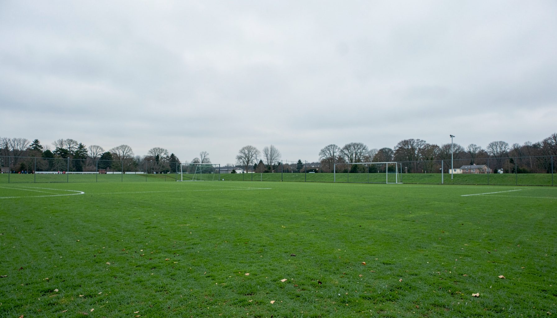 A wide shot of a green sports field under soft grey skies, calm and open